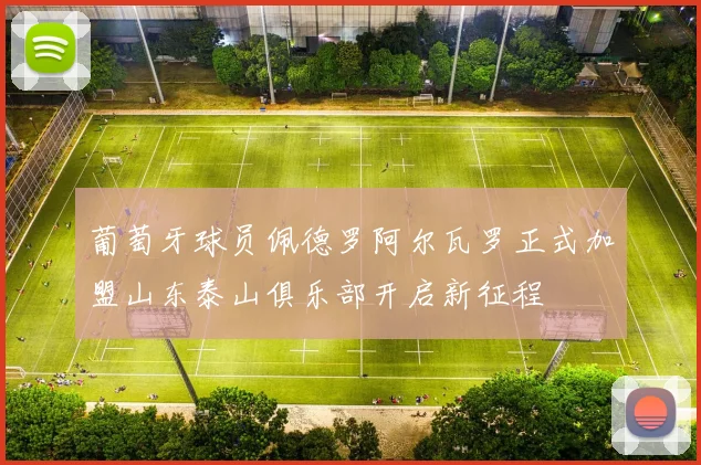 葡萄牙球员佩德罗阿尔瓦罗正式加盟山东泰山俱乐部开启新征程
