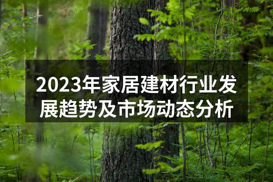 2023年家居建材行业发展趋势及市场动态分析